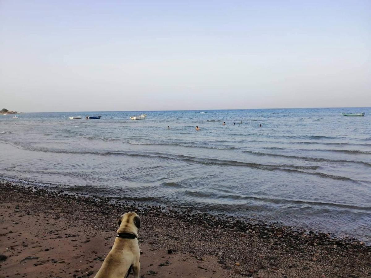 Sebaii Camp السباعى كامب شاطئ الترابين بجوار ويت بالس Hostel Nuweiba` Buitenkant foto