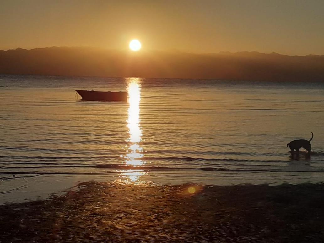 Sebaii Camp السباعى كامب شاطئ الترابين بجوار ويت بالس Hostel Nuweiba` Buitenkant foto