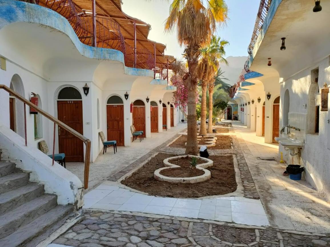 Sebaii Camp السباعى كامب شاطئ الترابين بجوار ويت بالس Hostel Nuweiba` Buitenkant foto